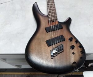 Ibanez Src6ms-bll Stained  | Rechnung Per E-mail geschickt  | Zustand: Sehr Gut