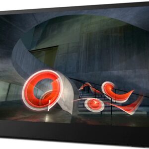 Lenovo Thinkvision M14 Monitor (portabel)  | Zustand: Sehr Gut