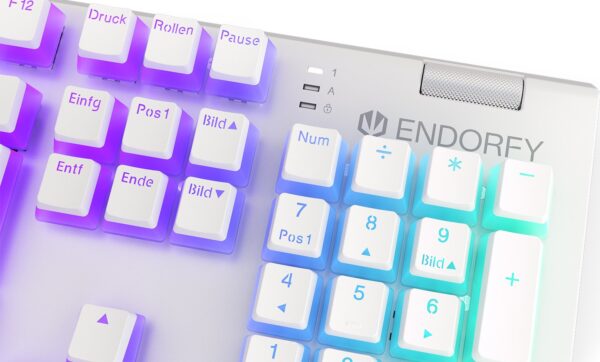 Endorfy Omnis Pudding, Onyx White, Pbt, Leds Rgb, Kailh Red, Usb, De | mit Originalverpackung | Zustand: Wie Neu – Bild 2
