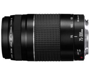 Sigma Art 18-35mm 1.8 DC HSM IF für Canon EF | Zustand: Gut