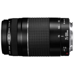Sigma Art 18-35mm 1.8 DC HSM IF für Canon EF | Zustand: Gut