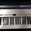 Roland FP-3 Digital Piano | Koffer  | Zustand: Gut – Bild 3