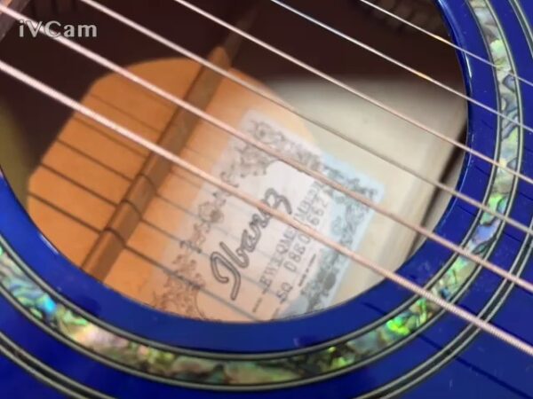 Ibanez Westerngitarre EW35QME | Mit Koffer  | Zustand: Gut – Bild 4