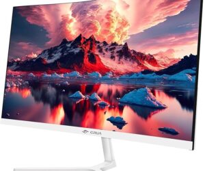 CRUA  CR-240A, 24 Zoll Curved Gaming-Monitor | mit Adapter | Zustand: Sehr Gut