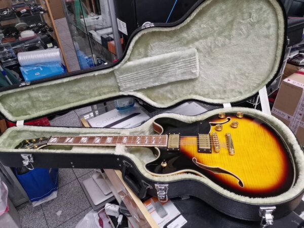 Washburn  Hb 35s | Koffer  | Zustand: Sehr Gut