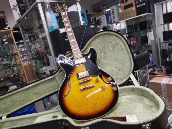 Washburn  Hb 35s | Koffer  | Zustand: Sehr Gut – Bild 4