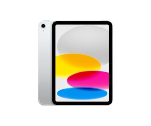 Apple Ipad 10 Gen. | mit Originalverpackung | Zustand: Sehr Gut