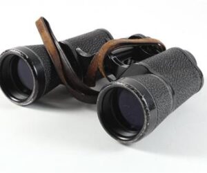 Fernglas Swarovski Falke 10 x 40  | Mit Tasche | Zustand: Gut
