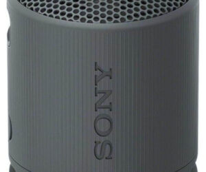 Sony Srs-xb100 | Zustand: Sehr Gut