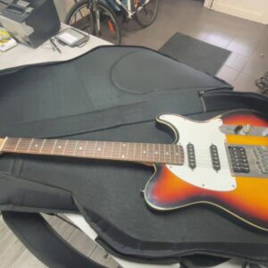 Peavey Exp Gitare | Tasche. Eine Seite Fehlen | Zustand: Gut