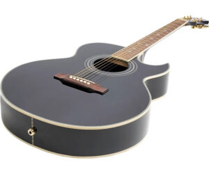 Epiphone PR5-E Acoustic-Electric Guitar | Zustand: Sehr Gut
