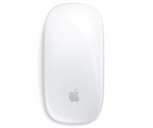 Apple Magic Mouse (lightning) | Zustand: Sehr Gut