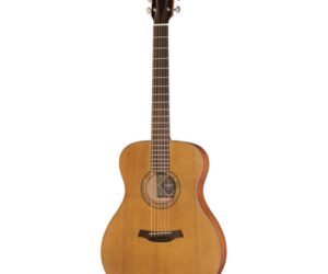 Baton Rouge X11C/F Gitarre | Hülle schwarz | Zustand: Sehr Gut