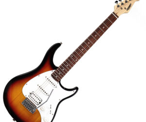 Peavey Raptor Plus Gitarre | Hülle schwarz | Zustand: Sehr Gut