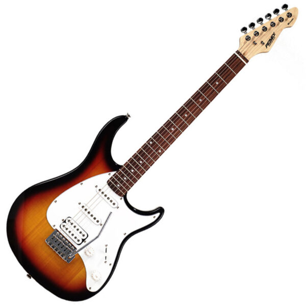 Peavey Raptor Plus Gitarre | Hülle schwarz | Zustand: Sehr Gut