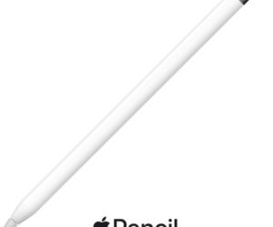 Apple Pencil 1. Generation  | Eingabestift Weiß | Zustand: Gut
