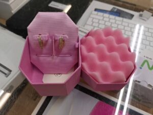 Swarovski Dextera Hoop Earrings | mit Originalverpackung  | Zustand: Sehr Gut