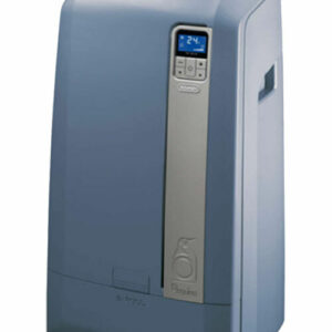 Delonghi Pinguino Pac We128 Eco | Zustand: Sehr Gut