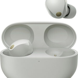 Sony Wf-1000xm5 Platinsilber | mit Originalverpackung | Zustand: Sehr Gut