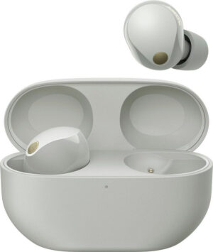 Sony Wf-1000xm5 Platinsilber | mit Originalverpackung | Zustand: Sehr Gut