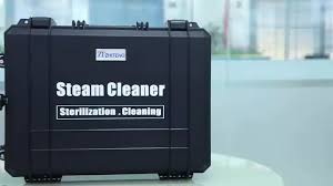 Zt Zhiteng Steam Cleaner | Zustand: Sehr Gut