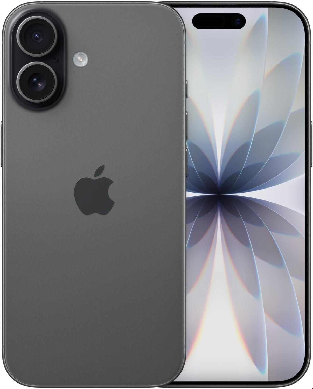 iPhone 17 256GB, mit Originalverpackung, 6,3" ProMotion Display, A19 Chip, 48MP Dual-Kamera | SimLock: Frei | Zustand: Neu | Farbe: schwarz | Akku: 100% – Bild 2