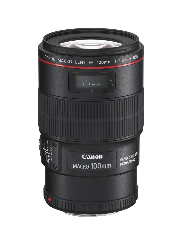 Canon EF 100mm f/2.8 Macro USM, 1:1 Makro-Objektiv mit Ultraschallmotor (USM) und Innenfokussierung. Ideal für Nah- und Porträtaufnahmen. | Zustand: Sehr Gut