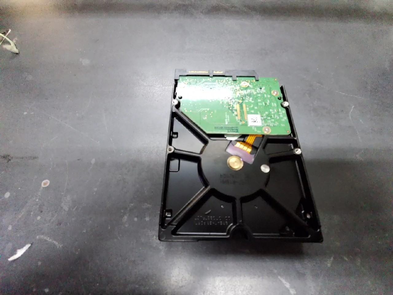 Western Digital Black SATA 2TB WD2003FZEX, Nur Abholung vor Ort. | Zustand: Gut – Bild 4