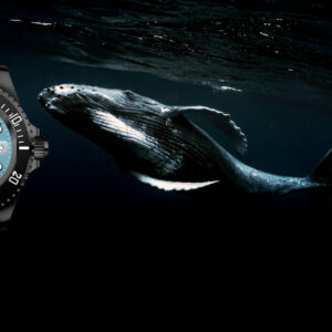 Vigilate Bero Aquarius, Taucheruhr, schwarz | blau, 30 ATM, Automatik, OVP, neuwertig | Zustand: Wie Neu