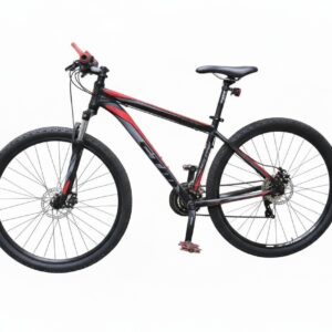 CTM Rambler 1.0 Rot 46, 29 Zoll, mit Rechnung