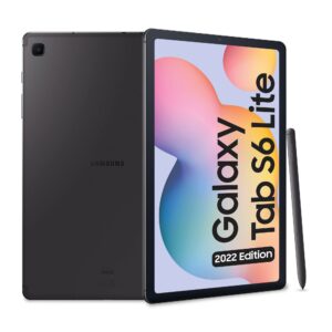 Samsung Galaxy Tab S6 Lite P620, Oxford Gray, 128gb , ovp | Zustand: Sehr Gut