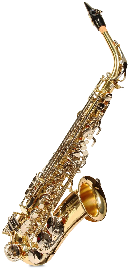 Symphonie Westerwald Tenorsaxophon Gold, Hochwertiges Tenorsaxophon in Gold-Optik, inklusive passendem Hartschalenkoffer und Zubehör. | Zustand: Sehr Gut