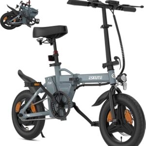 Eskute F100 Klapp-E-Bike Grau, 14 Zoll, 250W Motor, 36V 9Ah Akku, nur 20km gefahren, inkl. Ladegerät, Handyhalterung, Originalrechnung vom 31.03.2026