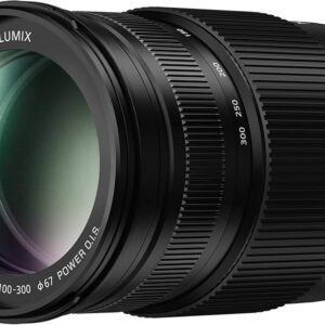 Panasonic Lumix G Vario 100-300mm f/4-5.6, Telezoom-Objektiv für Micro Four Thirds, optischer Bildstabilisator, kompakt und leicht. | Zustand: Sehr Gut