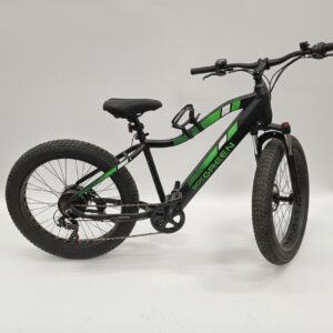 Doc Green E-Fatbike 26 Zoll Schwarz, 250W Heckmotor, 36V Akku, 1.500km, 26x4.0 Zoll Reifen, Kratzer am Oberrohr, inkl. Rechnung 01 | 2024