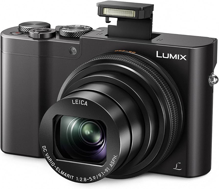 Panasonic Lumix DMC-TZ101 Schwarz, Kompaktkamera mit 25-250mm Objektiv, inkl. 2 Akkus und Ladegerät | Zustand: Sehr Gut