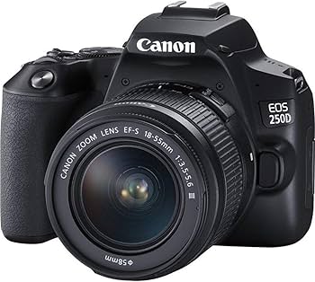 Canon EOS 250D mit EF-S 18-55mm III, Schwarz, Digitale Spiegelreflexkamera, inkl. 1x Akku, ohne Ladegerät, gebrauchter Zustand | Zustand: Gut