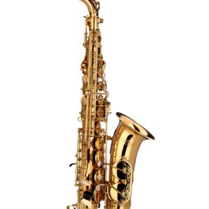 Schagerl Academica A-900L Altsaxophon, Goldlackiertes Altsaxophon mit Hoch-Fis-Klappe, inklusive schwarzem Trekking-Koffer, Gebrauchsspuren | Zustand: Gebraucht