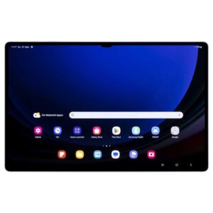 Samsung Galaxy Tab S9 Ultra 256GB WIFI,  14,6 Zoll Dynamic AMOLED 2X Display | Zustand: Gut | Farbe: grau