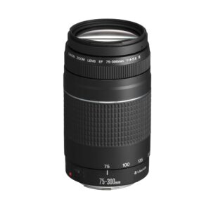 Canon EF 75-300mm f/4-5.6 III, Leichtes Telezoom-Objektiv mit EF-Bajonett, kompatibel mit Canon Vollformat- und APS-C-Kameras. | Zustand: Sehr Gut
