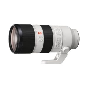 Sony FE 70-200mm F2.8 GM OSS Weiß, Professionelles Telezoom-Objektiv, E-Mount, Vollformat, mit Sony ALC-SH145 Gegenlichtblende inkl. OVP | Zustand: Sehr Gut