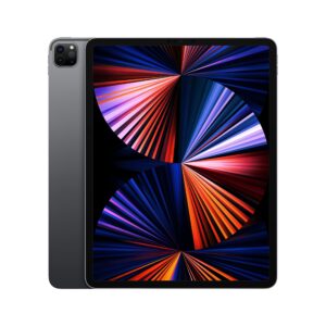 Apple iPad Pro 12.9 (2021) Spacegrau, 256 GB, M1 Chip, Liquid Retina XDR, Wi-Fi | Zustand: Sehr Gut